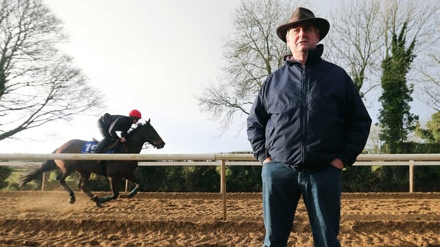Noel Meade's Johannisberger looks a player in the Connacht National at Roscommon