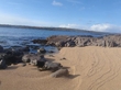 Mícheál Ó Coileáin.
