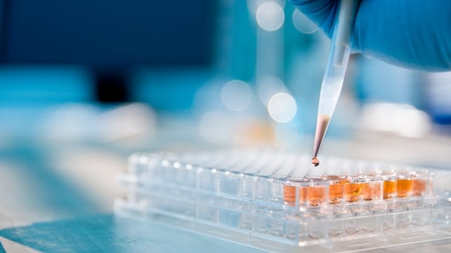 High-tech and chemical production saw significant growth last month High-tech and chemical production saw significant growth last month