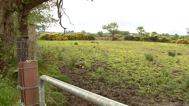 The man in his 60s was pronounced dead at the scene The man in his 60s was pronounced dead at the scene