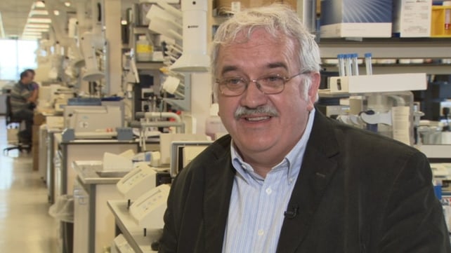 Professor Stephen O'Rahilly said he was thrilled to receive the knighthood