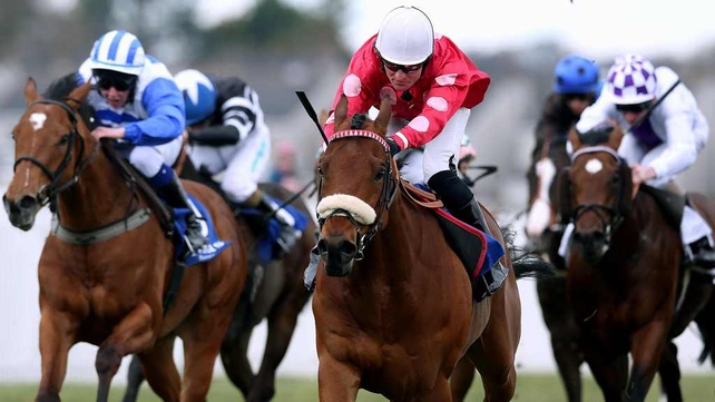 Maarek suffered a surprise defeat at Cork