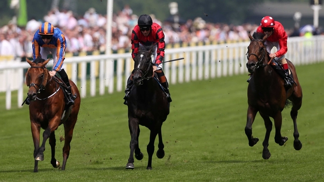 Gale Force Ten had ran with credit in the Irish 2000 Guineas and Poule d'Essai des Poulains on his two most recent starts