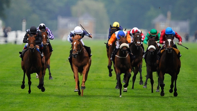 Duntle (navy and grey) could travel to Newmarket next month to contest the Falmouth Stakes