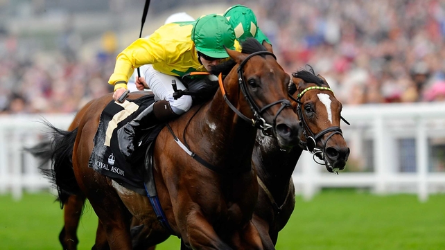 Jockey Billy Lee: 'I got there (the front) a bit sooner than I'd like, but he's a gutsy horse and in fairness, when the second horse came to him, he battled on again'