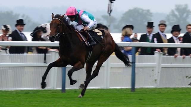 Riposte has been suplemented for the Irish Oaks