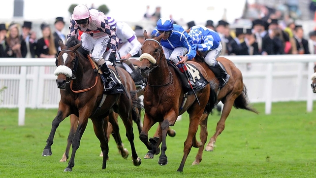 Chiberta King narrowly edge out Shahwardi