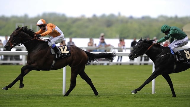 Most Improved was an impressive winner of the 2012 St James' Palace Stakes when trained by Brian Meehan