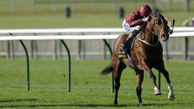 Havana Gold, seen here winning at Newmarket, was produced late to win the Group 1 Prix Jean Prat