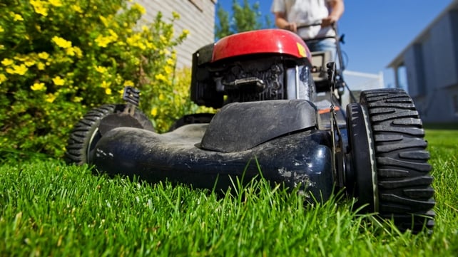 Seven people were recently treated for injuries after lawnmower accidents Seven people were recently treated for injuries after lawnmower accidents
