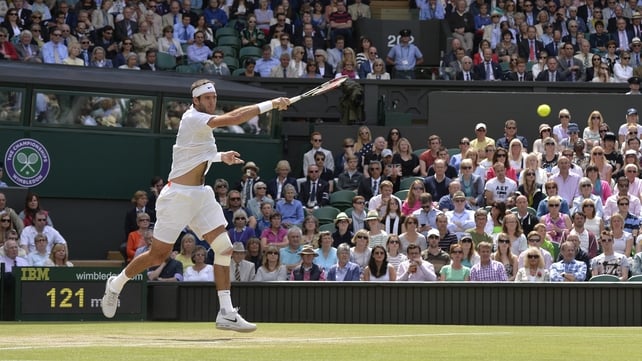Juan Martin del Potro had to recover from an early slip to beat David Ferrer