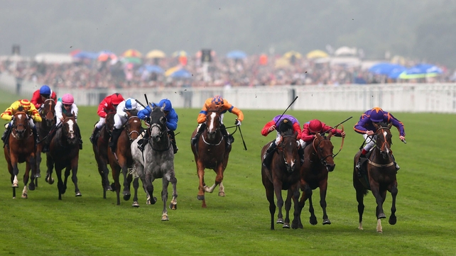 El Salvador (orange and blue silks), who finished sixth behind Estimate in the Ascot Gold Cup, carries top weight in the Roscommon feature