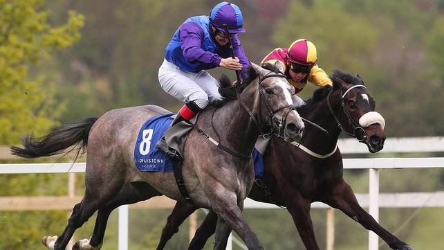 Sacred Aspect has run at six furlongs in three starts so far