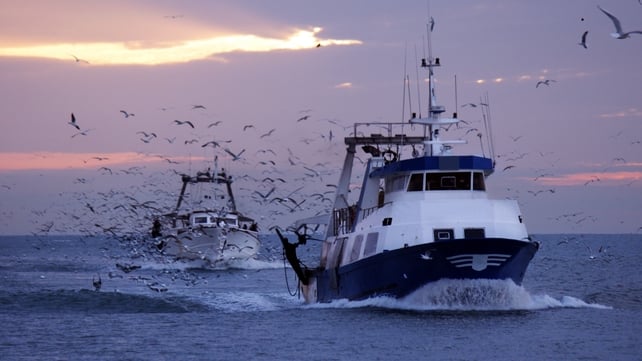 MEPs are seeking to allow the renewal of fisheries fleets where boats are more than 35 years old MEPs are seeking to allow the renewal of fisheries fleets where boats are more than 35 years old