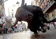 Pamplona Bull Run