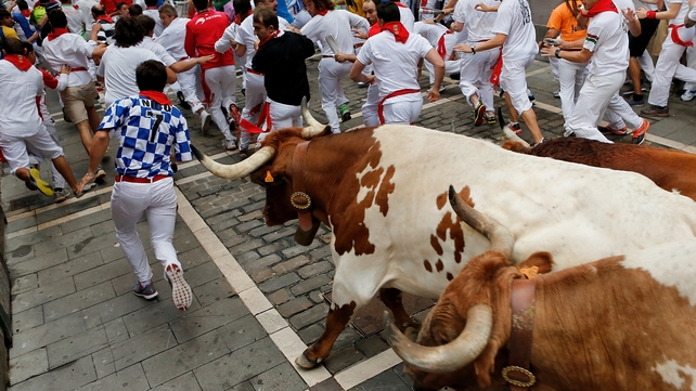 Revellers and bulls run through Pamplona's narrow streets Revellers and bulls run through Pamplona's narrow streets