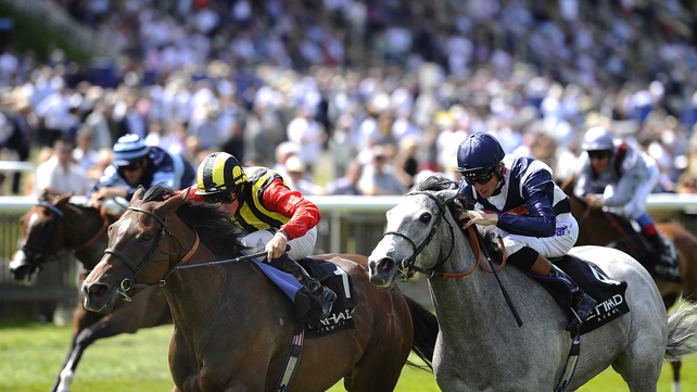 Elusive Kate and Sky Lantern renew rivalries at Newmarket on Saturday