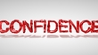 The Confidence Question