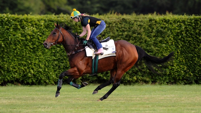 Sea Siren took the Belgrave Stakes at Fairyhouse