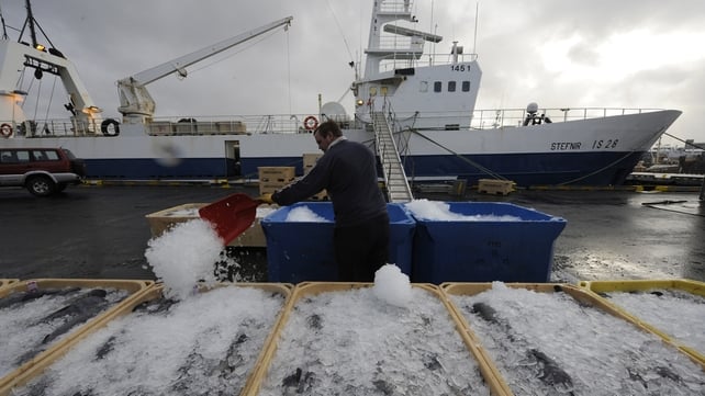Iceland has significantly increased its mackerel catch from the northeast Atlantic in the past seven years Iceland has significantly increased its mackerel catch from the northeast Atlantic in the past seven years