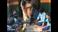 Nine News: Violent protests after school meal contamination kills children in India Nine News: Violent protests after school meal contamination kills children in India
