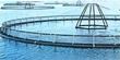 Galway Fish Farm.