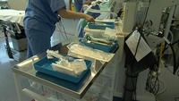 1300 contact helpline over Beaumont CJD fears 1300 contact helpline over Beaumont CJD fears