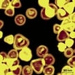 Nanotechnology