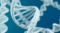 Sentence length 'irrelevant' for DNA database Sentence length 'irrelevant' for DNA database