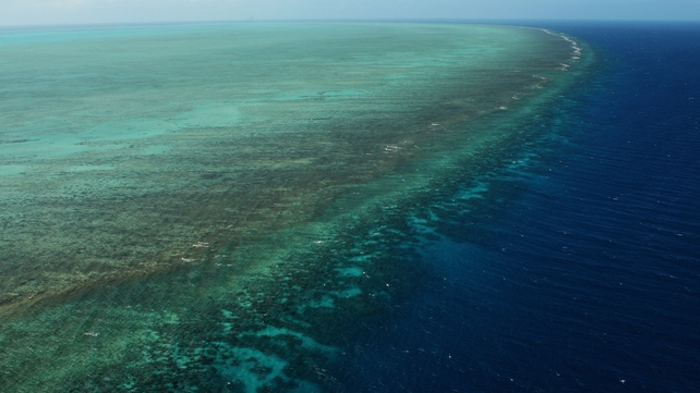 The US Navy will search the Great Barrier Reef after it dropped unarmed bombs on the marine park The US Navy will search the Great Barrier Reef after it dropped unarmed bombs on the marine park