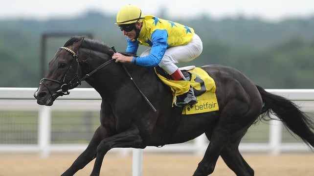 Novellist is vying for favouritism for the Prix de l'Arc de Triomphe with Flintshire
