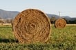 Hay Bales
