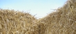 Slane Straw Bale