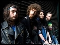 Live Music - Fight Like Apes
