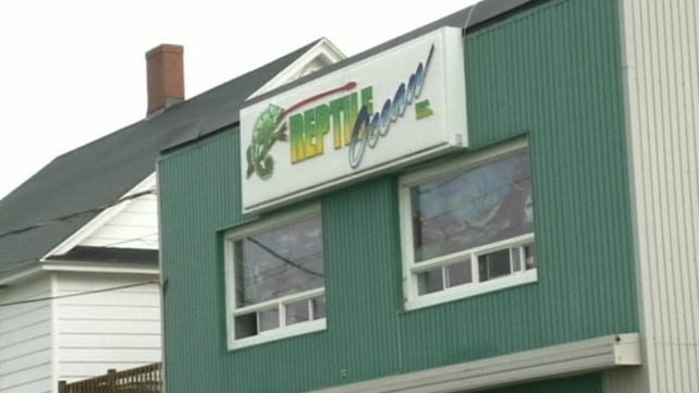 Police believe the snake moved through the building's ventilation system Police believe the snake moved through the building's ventilation system