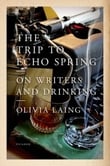 Author Olivia Laing