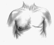 Male Breast Cancer