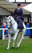 Side Saddle