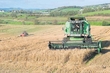 Harvest Time