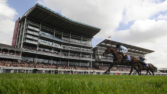 Eight will compete for the Gimcrack Stakes at 3.15pm on Saturday
