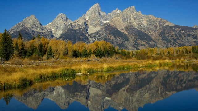 Jackson Hole summit hears of threats posed by global liquidity Jackson Hole summit hears of threats posed by global liquidity
