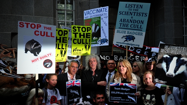 Demonstrators, including Queen guitarist Brian May (C), take part in a protest in central London against the cull in June Demonstrators, including Queen guitarist Brian May (C), take part in a protest in central London against the cull in June
