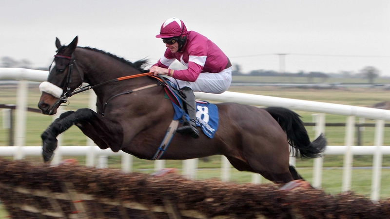 Toner D'Oudairies will be ridden by new Gigginstown number one Bryan Cooper