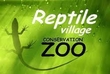 Mark Graham - Alligators & other reptiles