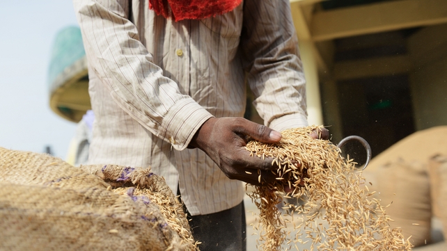 The FDA tested 1,300 samples of rice and rice products for arsenic The FDA tested 1,300 samples of rice and rice products for arsenic