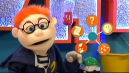 The Why Guy