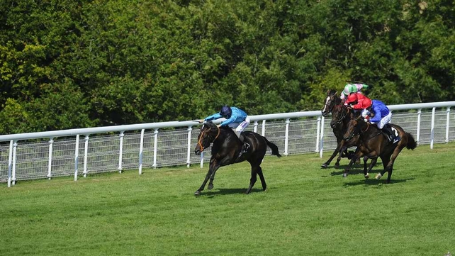 Brown Panther has not been declared for the Irish St Leger