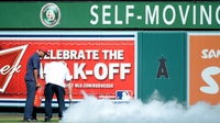 Swarm of bees halts US baseball game Swarm of bees halts US baseball game