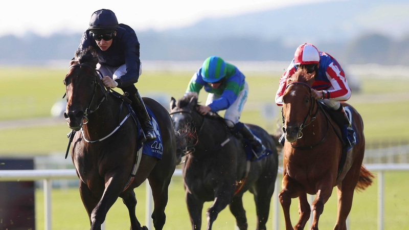 Geoffrey Chaucer led home the field in last season's Beresford Stakes