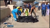 Nine News: 200 missing after ship sinks off Italian coast Nine News: 200 missing after ship sinks off Italian coast